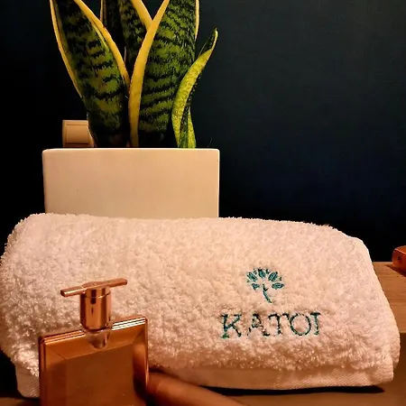 Holiday home Katoi Traditional House Exo Khora