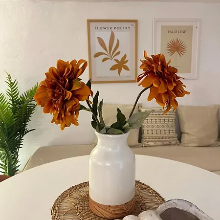 Katoi Traditional House Έξω Χώρα